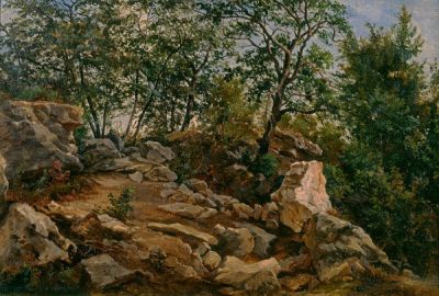 Hermann Lungkwitz On a Rocky Texas Hillside, c. 1880