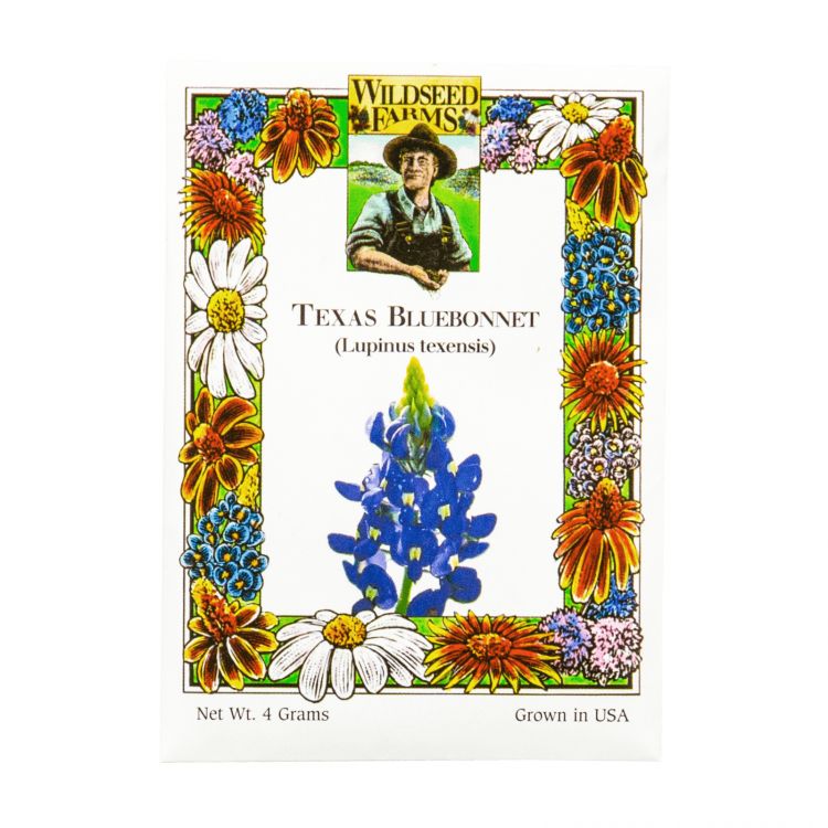 Texas Bluebonnet Seeds