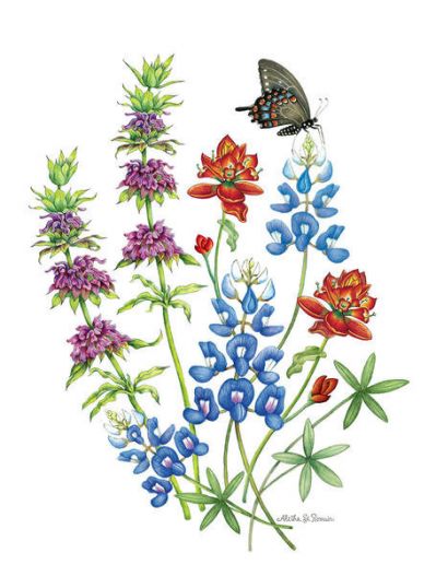 Aletha St. Romain Bouquet of Bluebonnets, Horsemint and Indian Paintbrush with Swallowtail Butterfly