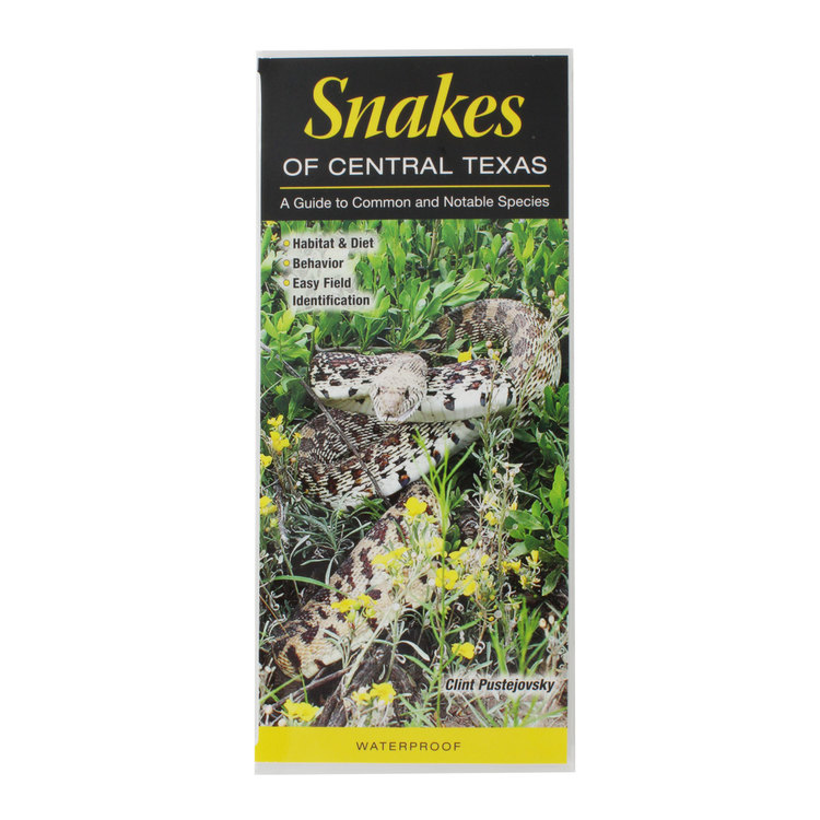 Snakes of Central Texas Reference Guide