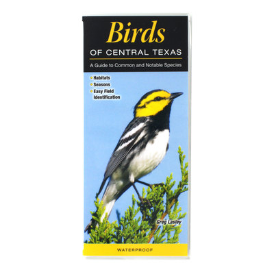 Birds of Central Texas Reference Guide