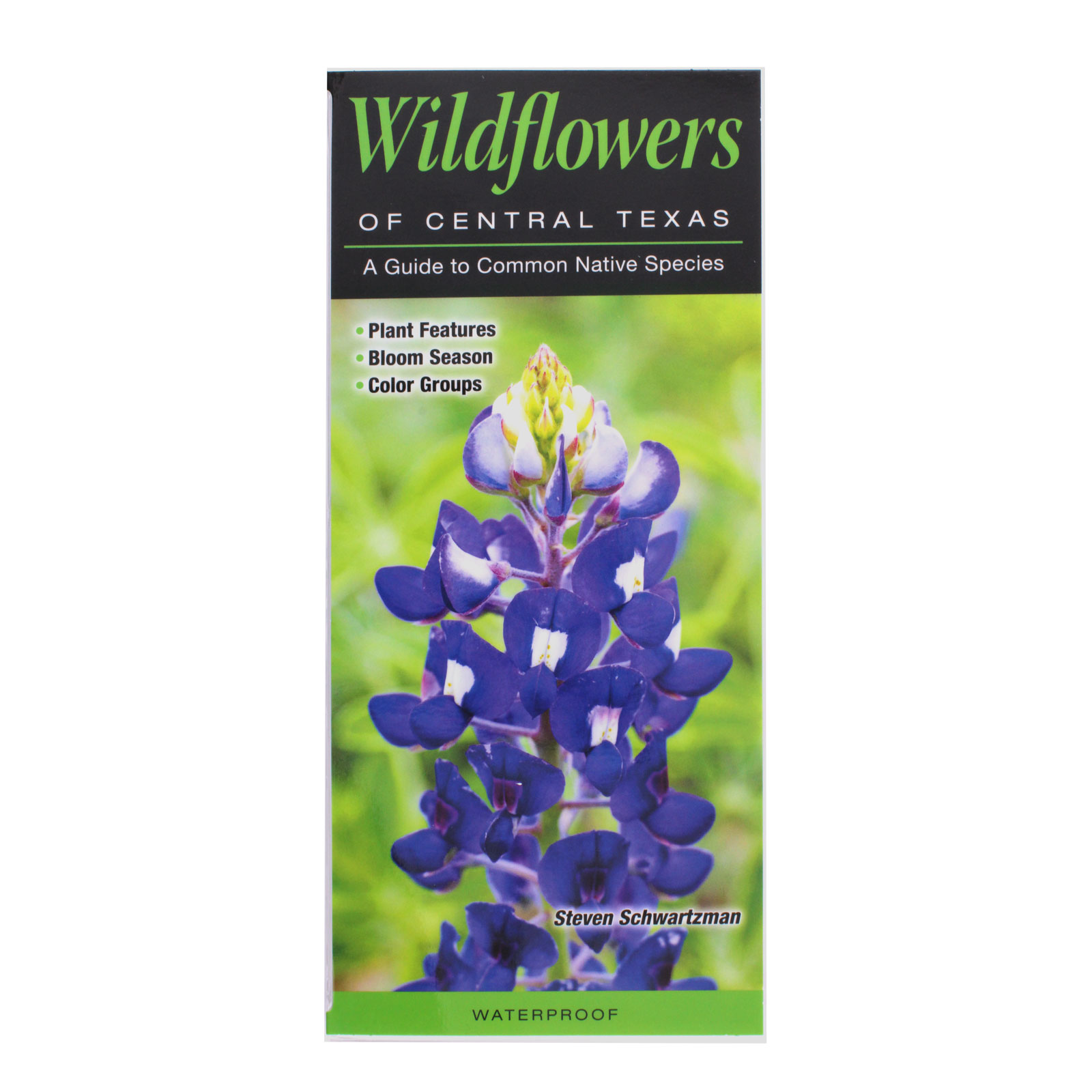 Wildflowers of Central Texas Reference Guide