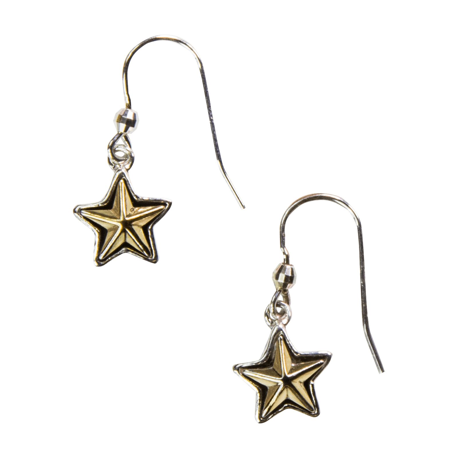 Texas Shape Drop Earrings For Women – Stainless Steel Dangle State Pride Jewelry