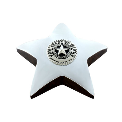 Texas State Seal Silver-Tone Star Paperweight