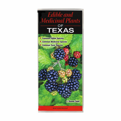 Edible & Medicinal Plants of Texas