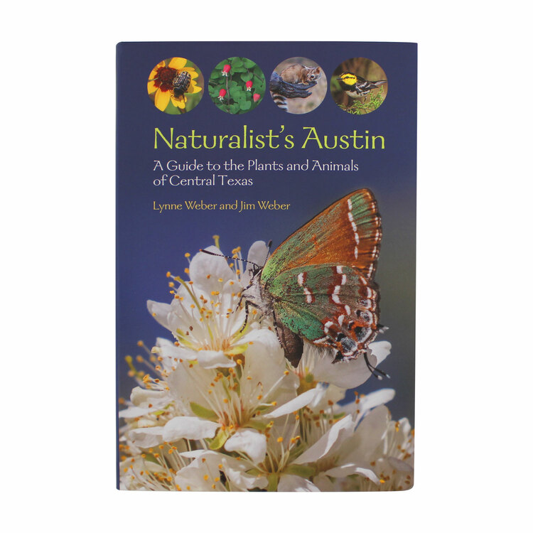 Naturalist's Austin: A Guide to the Plants and Animals of Central Texas