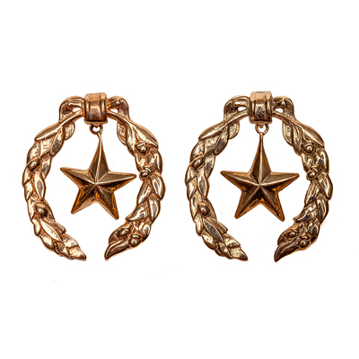 Texas Arms Earrings - Solid Gold