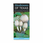 Texas Mushrooms