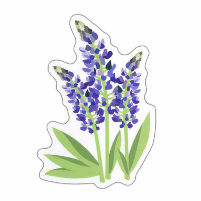 Bluebonnet Vinyl Sticker