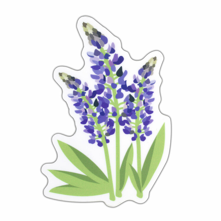 Bluebonnet Vinyl Sticker
