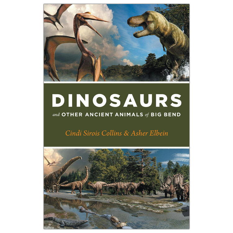 Dinosaurs and Other Ancient Animals of Big Bend