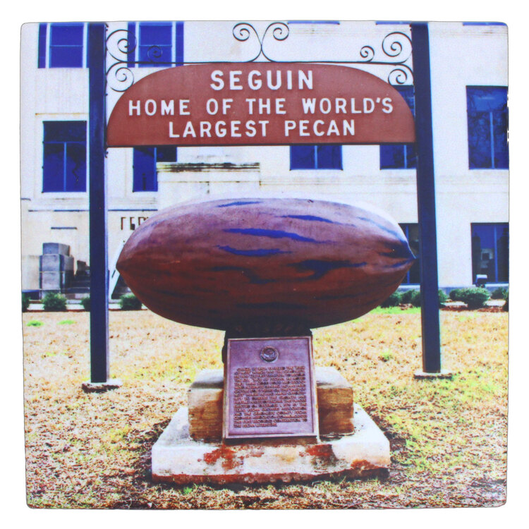 Seguin Pecan Exhibit Coaster